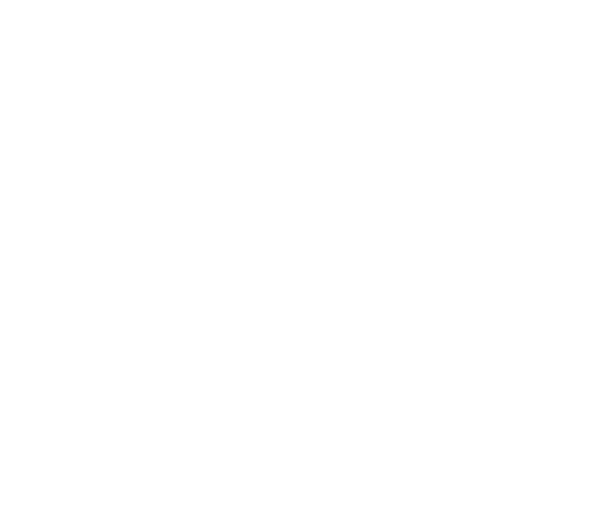 Velocity Autohaus